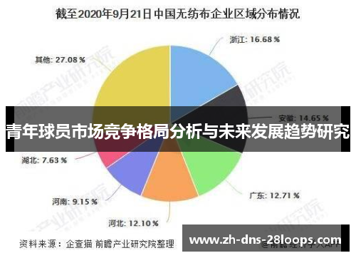 青年球员市场竞争格局分析与未来发展趋势研究 青年球员市场竞争格局分析与未来发展趋势研究